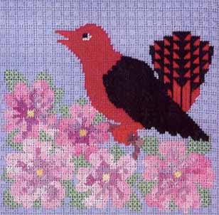 Red & Black Bird #6 - Scarlet Tananger