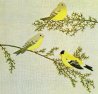 #47 Goldfinches