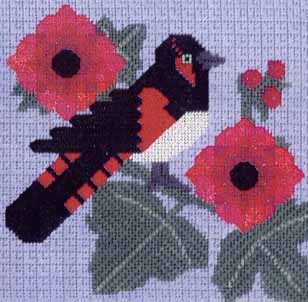 Red & Black Bird #5 - American Redstart