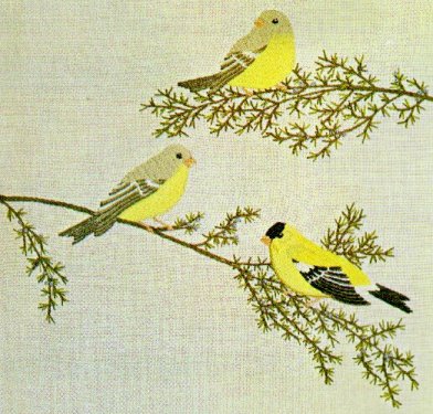 Kit #47 Goldfinches